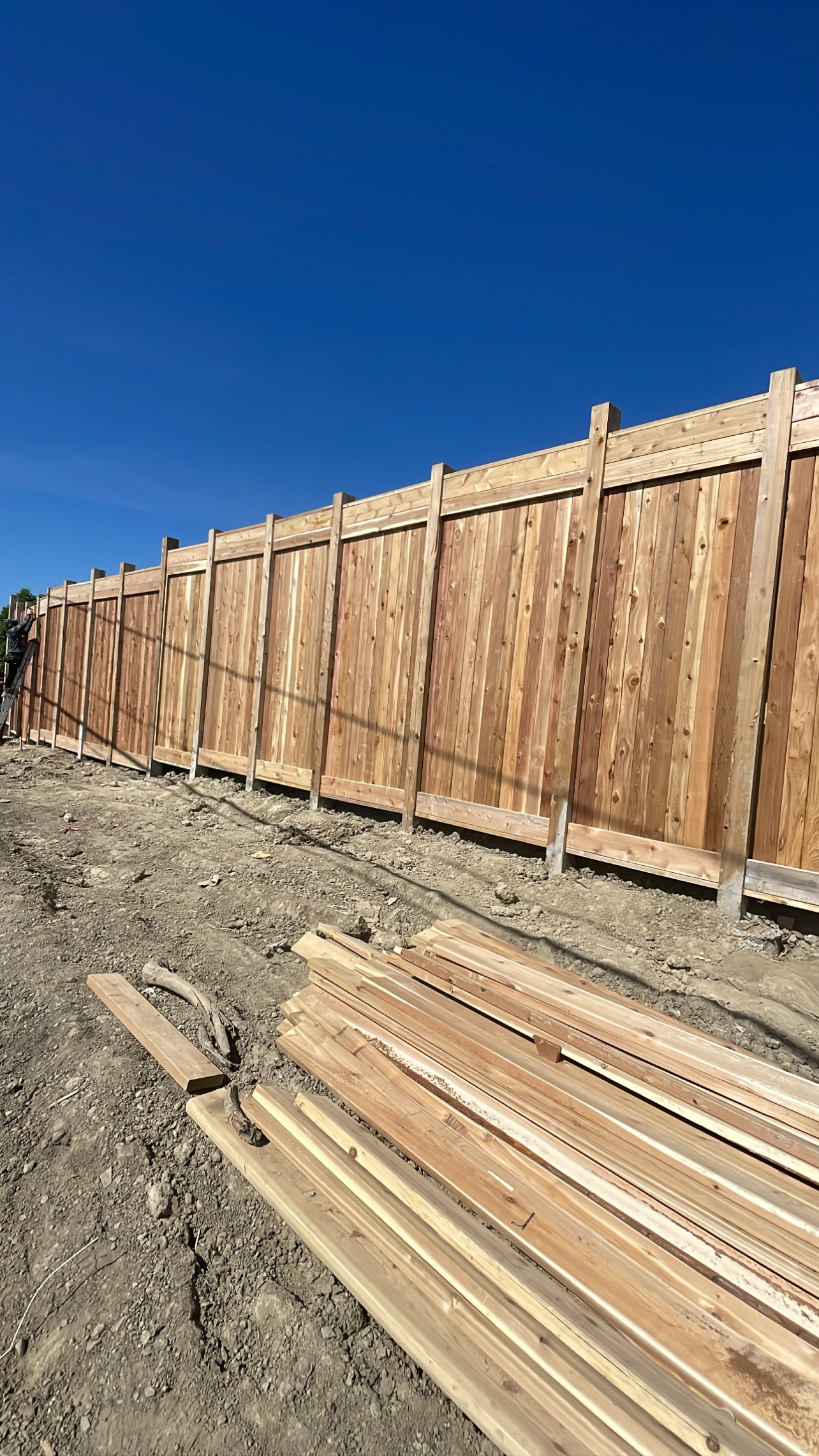 Exterior view of Cedar Acoustic Fence in Vaughan by IBGAR Construction - 1